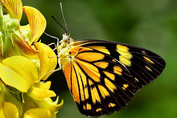 Nature Beauty of Sri Lanka 10 days all inclusive tour